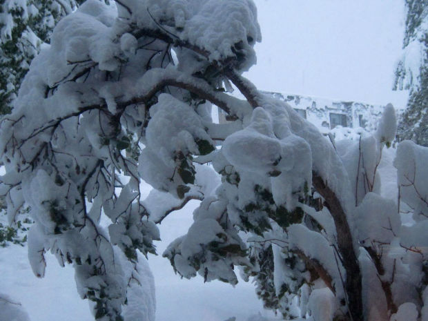 Winter Storm Atlas
